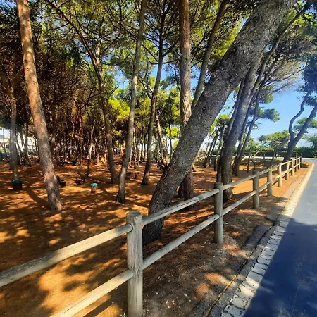 Lia Trilo - Myho Casa Alba Adriatica