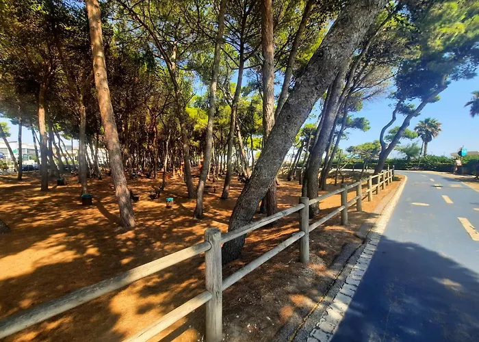 Lia Trilo - Myho Casa Alba Adriatica