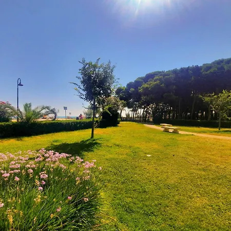 Lia Trilo - Myho Casa * Alba Adriatica